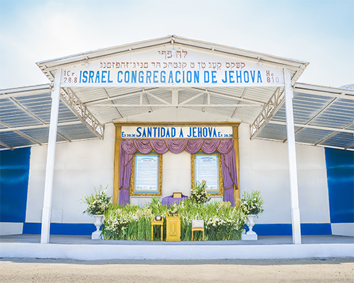 Misión
